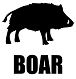 Zodiac Image