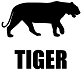 Zodiac Image